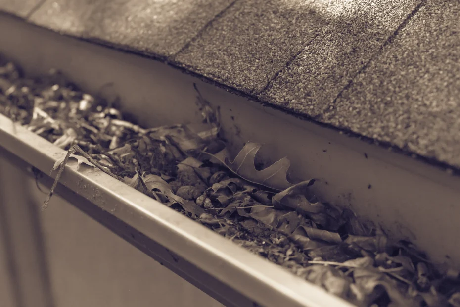 Jacksonville Gutter Cleaning