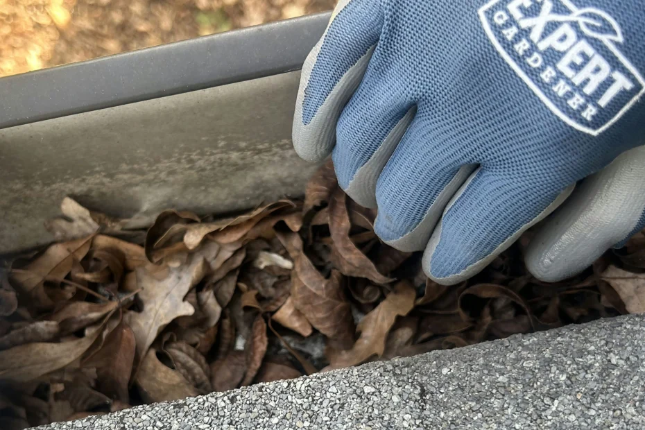 Jacksonville Gutter Cleaning