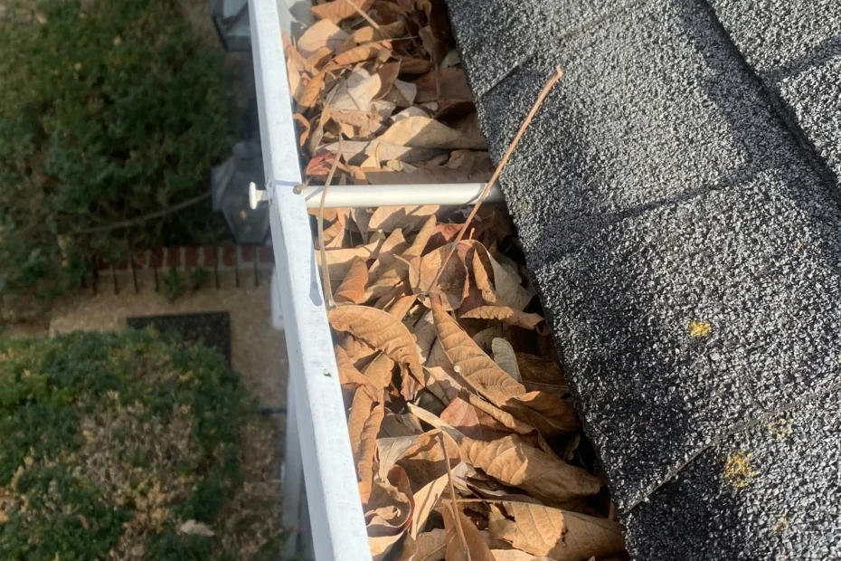 Jacksonville Gutter Cleaning