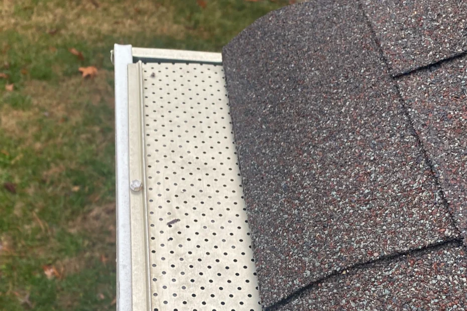 Jacksonville Gutter Cleaning